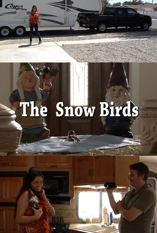 snowbirds poster